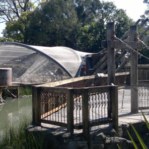 Auckland Zoo Island Aviary