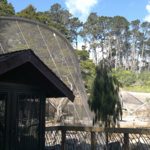 Auckland Zoo KEA Aviary