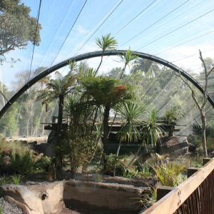 Auckland Zoo Wetlands Aviary
